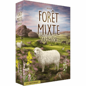 Forêt Mixte – Dartmoor